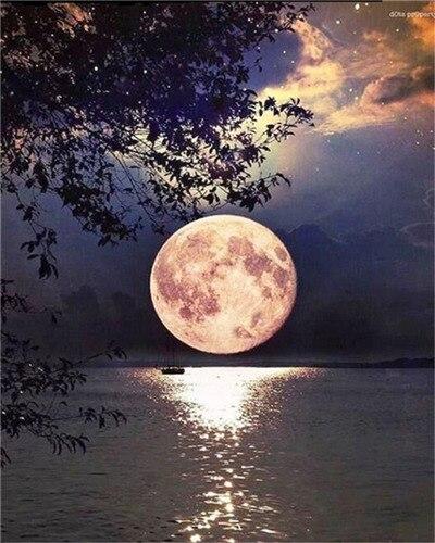 Beautiful Full Moon on Lake - Landscape Paint By Number