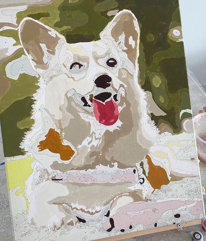 Paint By Numbers Customized