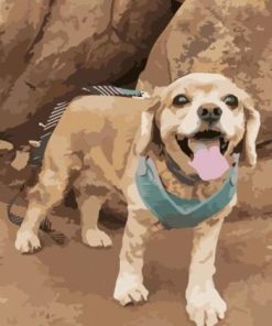 Dogs Paint by numbers - Custom paint by number
