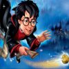 Harry Potter Flying Broom paint by numbers