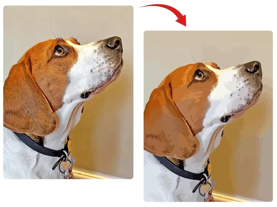 Convert dog photo to paint by number