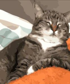 Custom Paint By Number - Make Your Own Photo