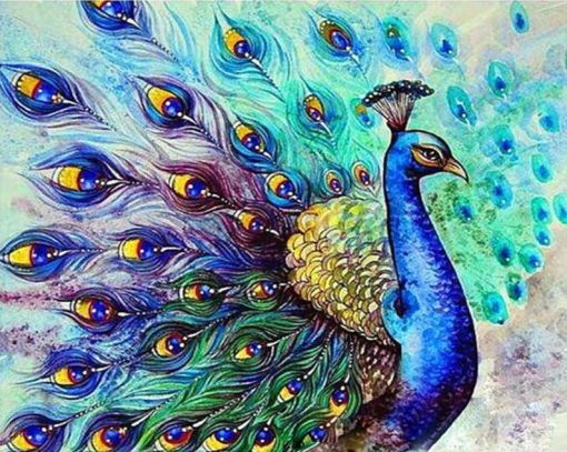 Colorful Peacock - DIY Paint By Numbers - Numeral Paint