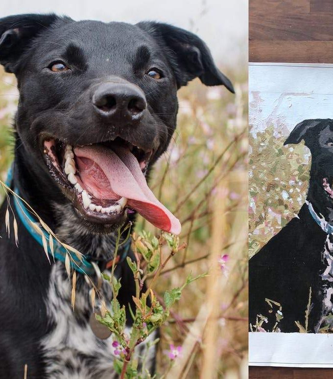 Paint by number your dog - Custom paint by number