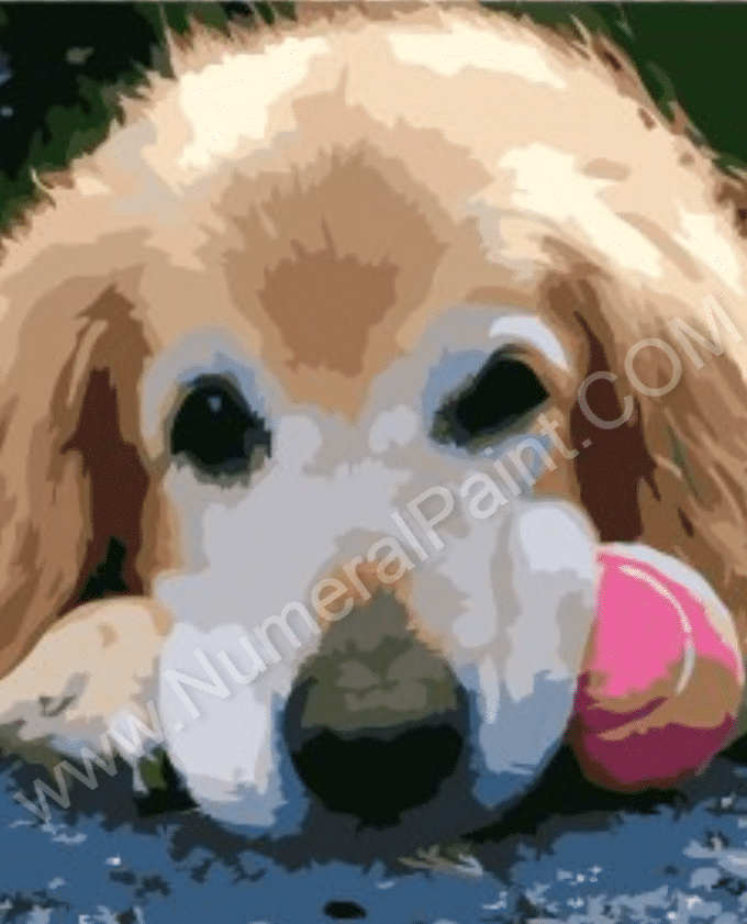 Dogs Paint by numbers - Custom paint by number