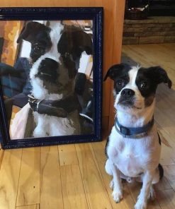 Paint by number your dog - Custom paint by number