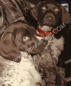 Paint by number your dog - Custom paint by number