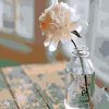 Flower In A Glass Bottle Paint by numbers