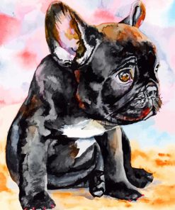 french-bulldog-puppy-paint-by-number