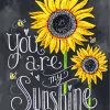 You Are My Sunshine Paint by numbers