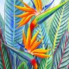 Strelitzia Bird Of Paradise Paint by numbers