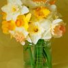 Aesthetic Daffodils Flowers Paint by numbers