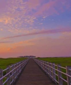 Marsh Boardwalk Paint by numbers