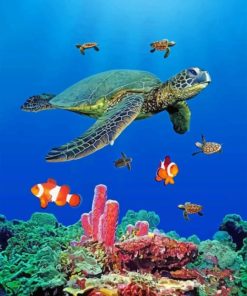 sea-turtles-paint-by-number